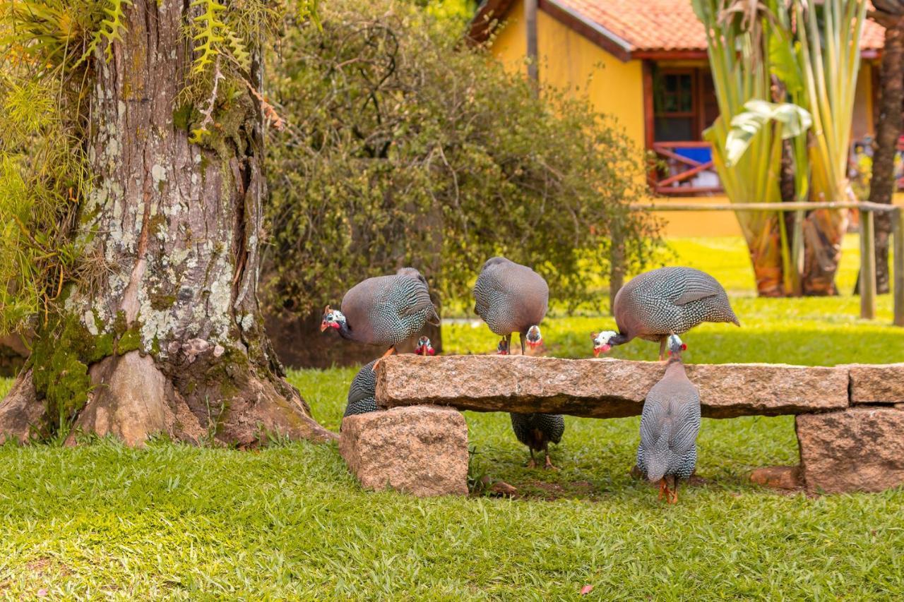 Hotel Fazenda Jacauna Brotas Zewnętrze zdjęcie